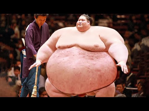 일본에서 난리난 스모선수