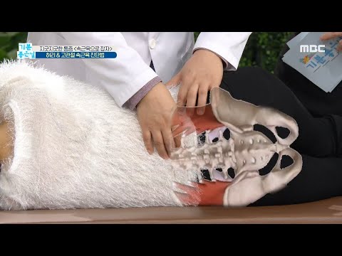 [기분 좋은 날] 지긋지긋한 통증! 허리 & 고관절 속근육 진단법 MBC 200911 방송